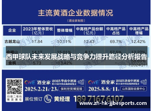 西甲球队未来发展战略与竞争力提升路径分析报告