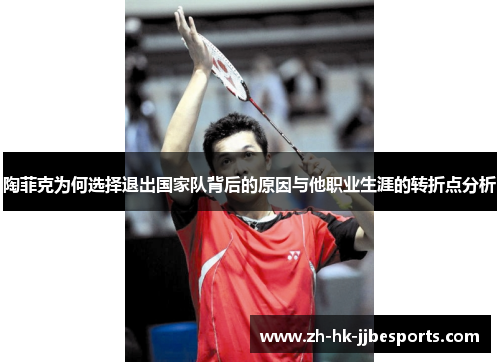 陶菲克为何选择退出国家队背后的原因与他职业生涯的转折点分析